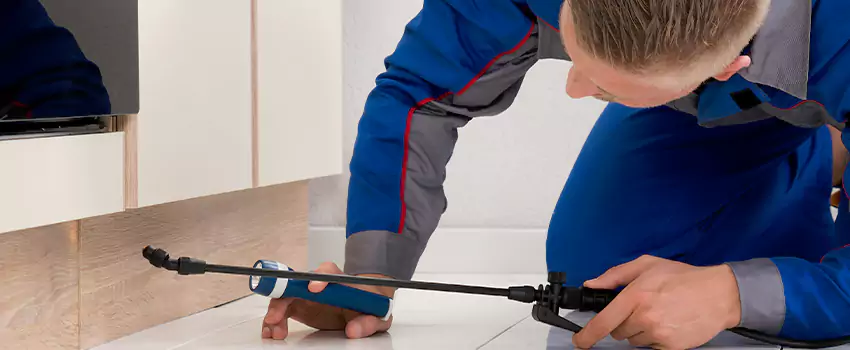 Commercial Pest Control for Offices in Grand Prairie, TX