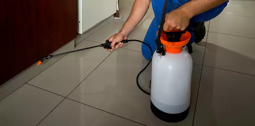 Commercial Pest Extermination for Offices in Grand Prairie, TX
