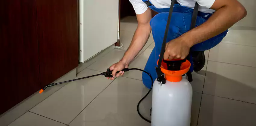 Commercial Flea Exterminator Company in Grand Prairie, TX