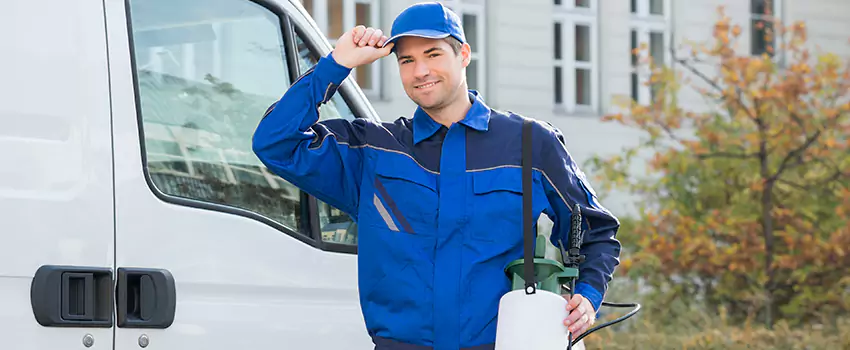 Organic and Chemical Spider Control Options Grand Prairie, TX