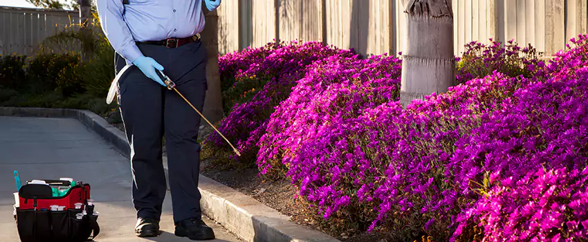 mosquito-exterminator in Grand Prairie, TX