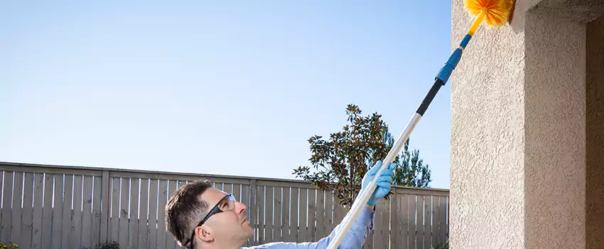 spider-exterminator in Grand Prairie, TX