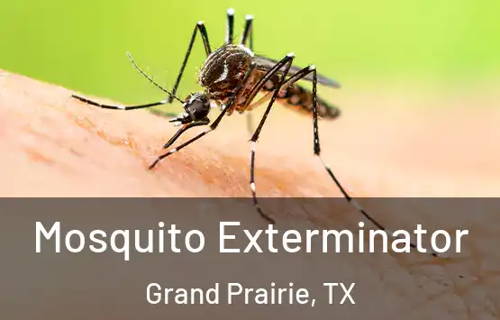  Mosquito Exterminator Grand Prairie, TX