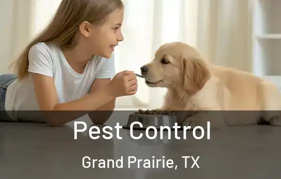 Pest Control Grand Prairie, TX