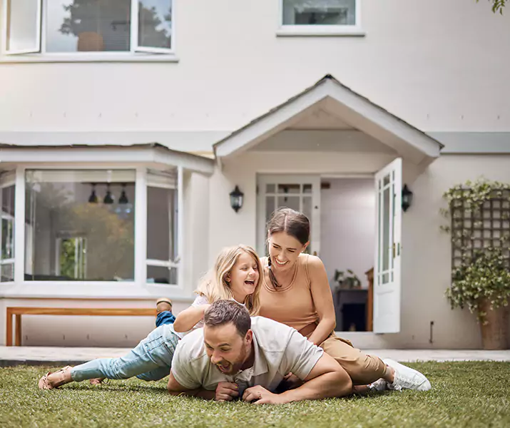 About Ant Control Grand Prairie